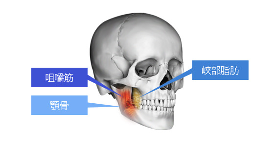 必要な場合、顔の骨の非対称によって発達した顔の各層の組織を対称に改善